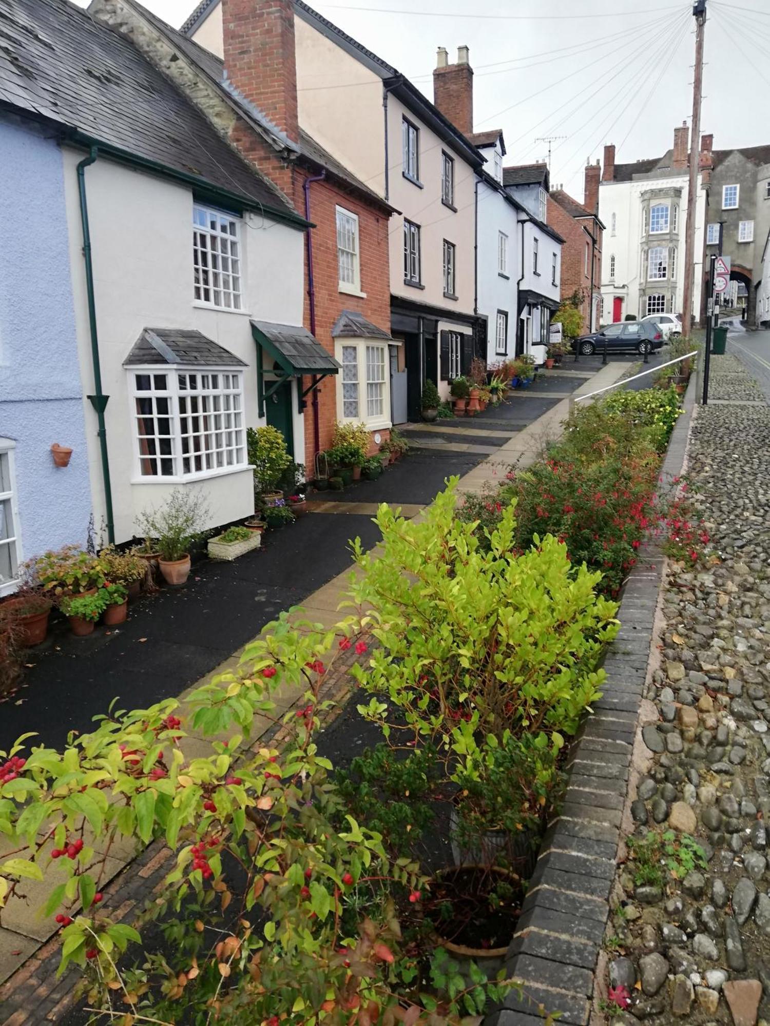 Toad Hall Ludlow Dış mekan fotoğraf